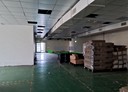 平鎮區-觀音大溪線快速道路廠房，600坪