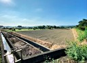 杉林區-月眉段土地，663.7坪