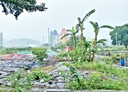 蘇澳鎮-隘城段土地，124.4坪