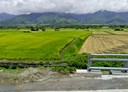 關山鎮-土地，698.2坪