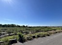 九如鄉-土地，6129坪