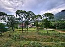 三峽區-大埔一段土地，960.6坪