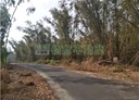 新化區-土地，26163坪