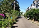 三峽區-土地，248.7坪