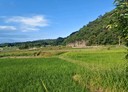 玉里鎮-土地，1029.3坪