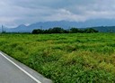 瑞穗鄉-土地，1512.5坪