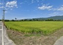 壽豐鄉-土地，1429.3坪