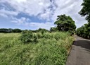觀音區-樹林段土地，1820坪