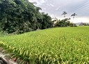 冬山鄉-土地，463坪