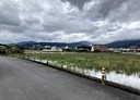 宜蘭市-茭白段土地，594.3坪