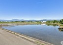 三星鄉-土地，548坪