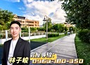 桃園區-向善街5房4廳，82坪