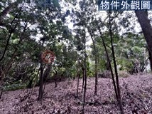 萬斗六段【南興齊勝】霧峰區..