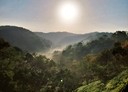 通霄鎮-土地，768.4坪