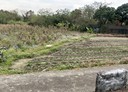 關西鎮-土地，100坪