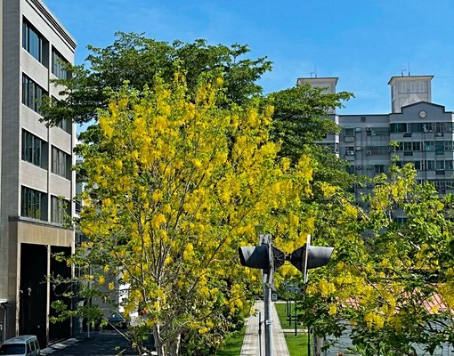 拎包入住！安平市政府設計陽台小豪宅套房 - Image 9