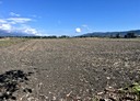 鳳林鎮-北林段土地，2326.8坪