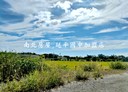 六甲區-土地，518.8坪