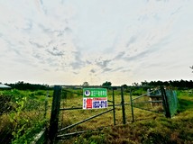 林邊竹林清靜美農地