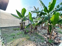 里港土庫方正農地