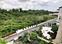 仁武區-綠園新村4房2廳，98.6坪