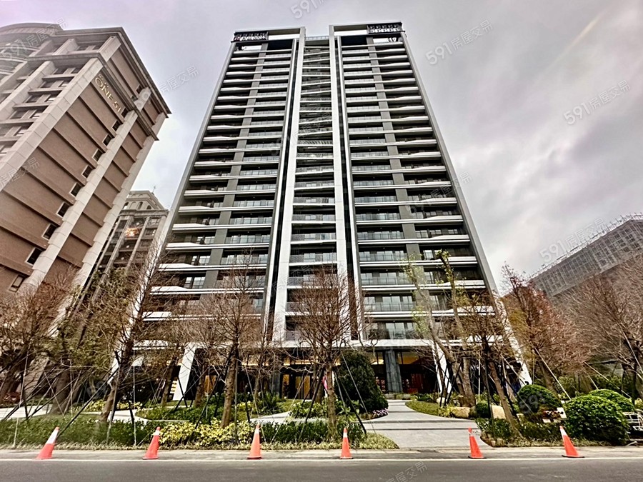 竹風森林實景圖