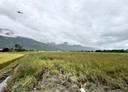 新城鄉-土地，3607.4坪