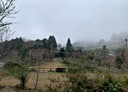 五峰鄉-土地，12543坪
