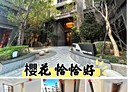 太平區-育賢路3房2廳，49.9坪