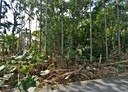 麟洛鄉-土地，883.6坪