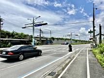 近豐田清幽農地