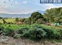 北投區-土地，123.9坪