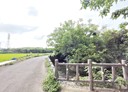 新埔鎮-義民段土地，419.9坪
