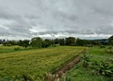 竹東鎮-富貴段土地，782.2坪