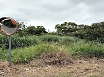 外寮路五股農地2517坪.每坪..
