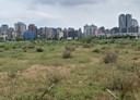 林口區-土地，527.8坪