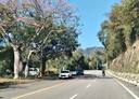 大湖鄉-八份土地，65.3坪