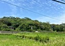 苑裡鎮-土地，2981坪