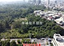 仁德區-土地，229.6坪