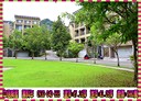 新店區-頂城三街3房3廳，67.2坪