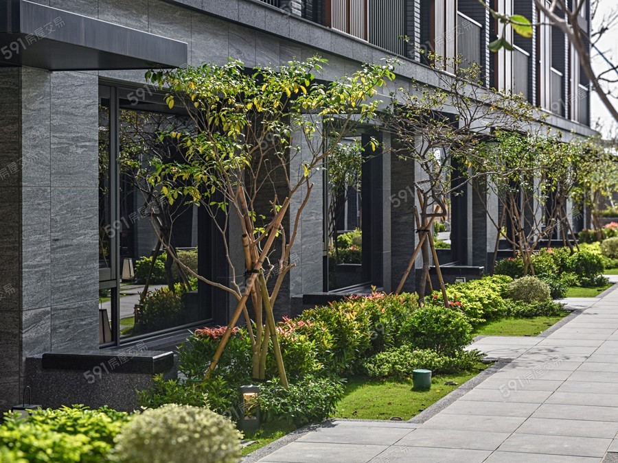 君臨．大美實景圖