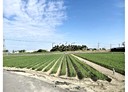 安南區-土地，522.2坪