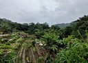 文山區-新光路二段土地，2855.6坪