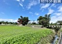 員山鄉-土地，857.6坪