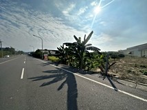 富和路農地(F9202)