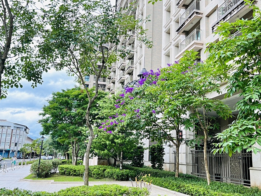 房屋圖片
