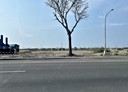 湖內區-土地，100坪