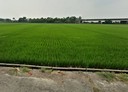 大埤鄉-土地，856.7坪