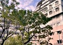 屏東市-大武路3房2廳，31坪