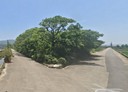 苑裡鎮-土地，404.7坪